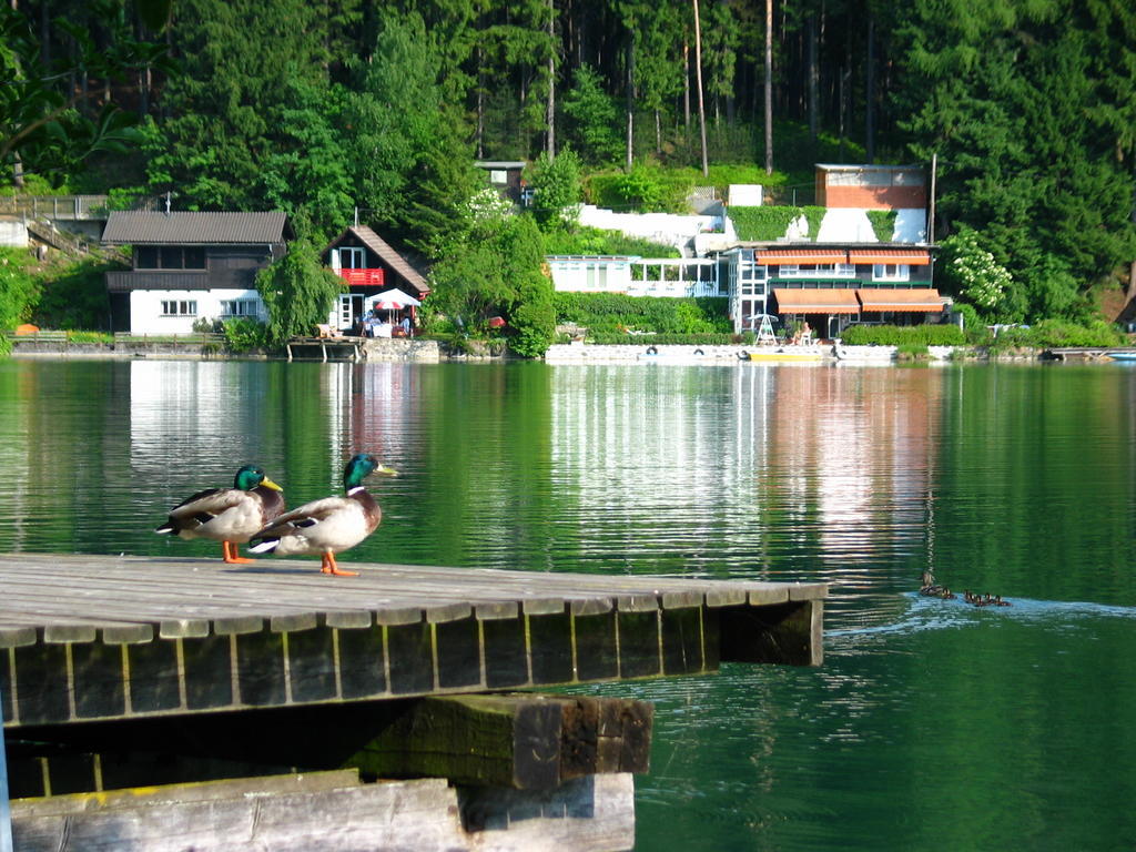 Villa Mayr Villach Exteriör bild